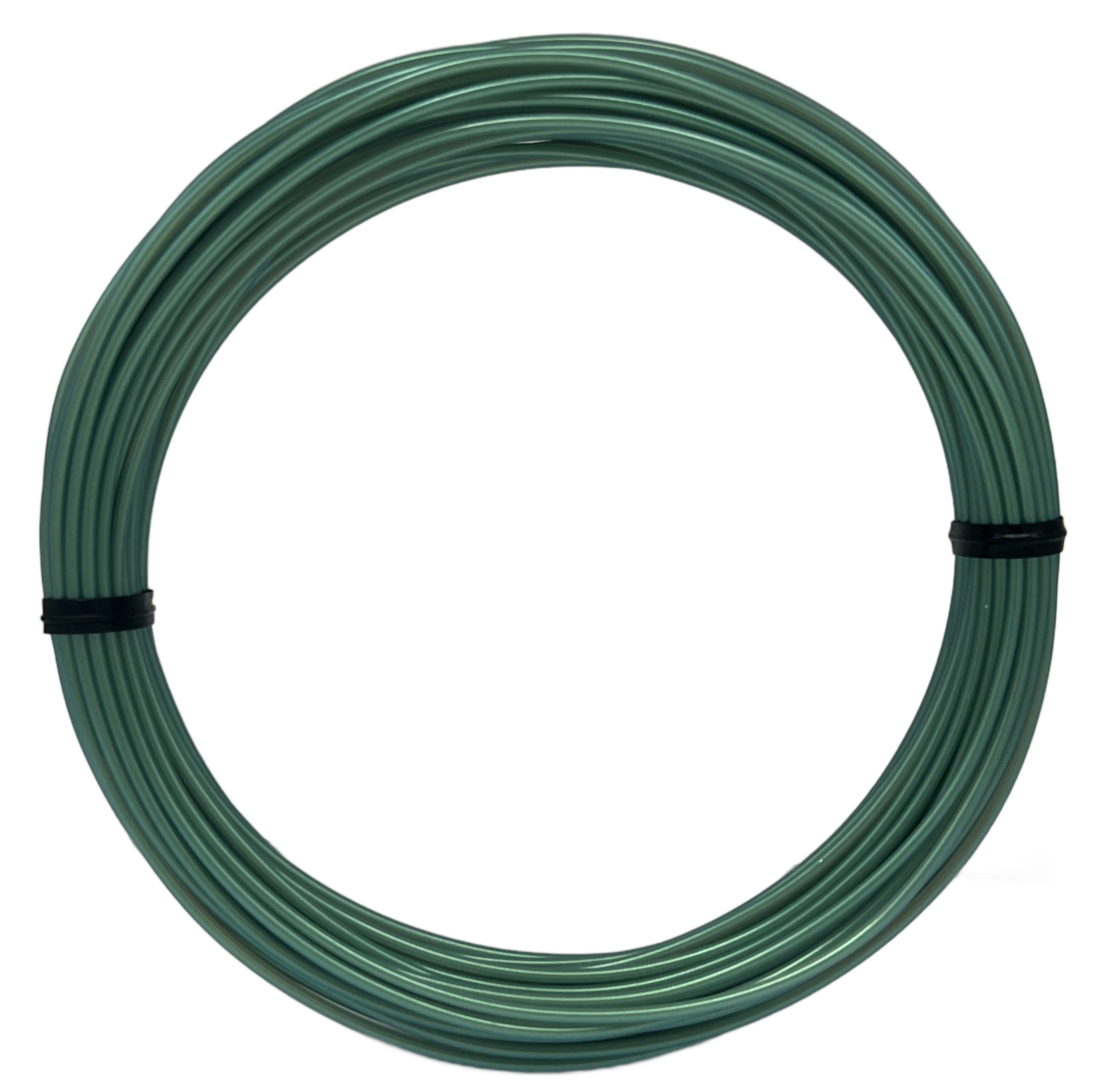 Sample Coil PETG PRO- Chameleon Coastline Shade-Shifting Filament 1.75mm