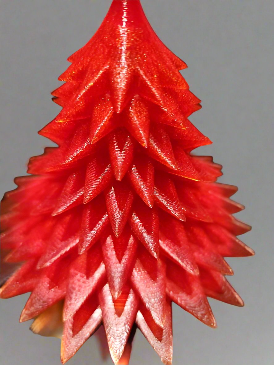 Gemstone Ruby Red Translucent PLA AMS Compatible