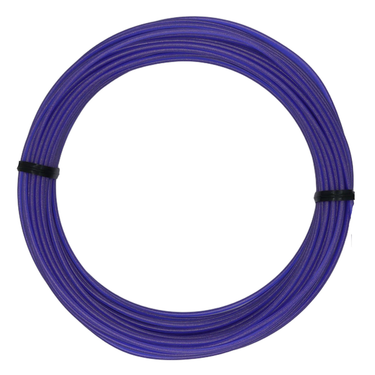 Sample Coil PCTG - Indigo Golden Sparkle Translucent