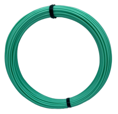 Sample Coil PETG - Minty Green